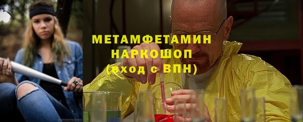 индика Горняк