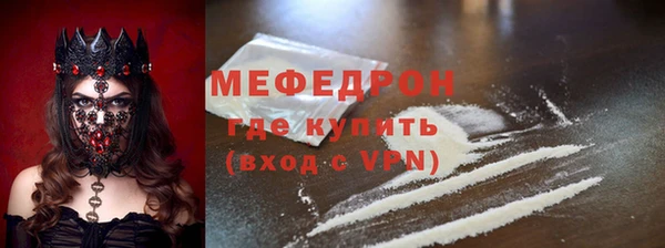 индика Гусев