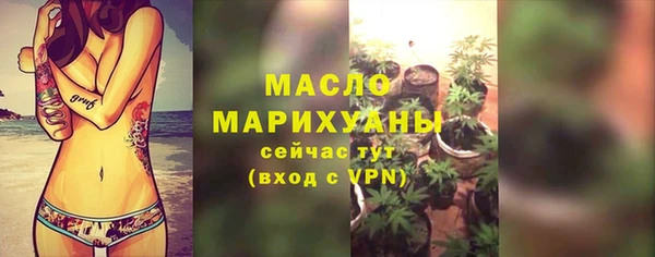 прущая мука Вяземский