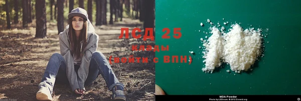 прущая мука Вяземский