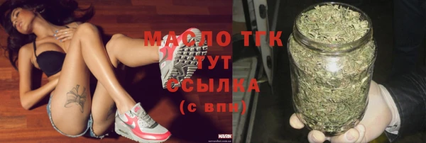 прущая мука Вяземский