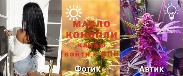 прущая мука Вяземский