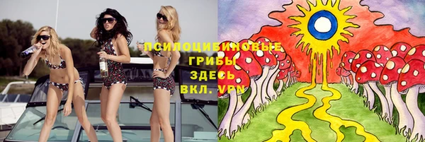 дживик Вязьма