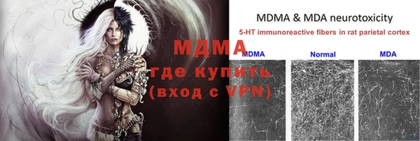 индика Горняк